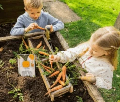 THE CARROT WHO WAS TOO BIG FOR HIS BEAD -Baby Products Shop ScreenShot2021 10 13at10.44.51