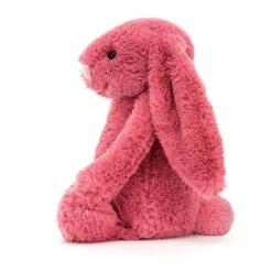 JELLYCAT SMALL BASHFUL CERISE BUNNY -Baby Products Shop image d46516ee 6034 478c 97e2 b66136005760